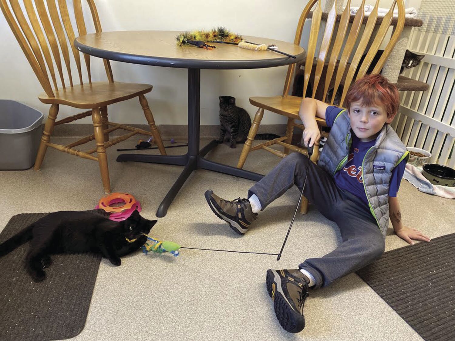 Boy raising funds by sleeping at pet shelter